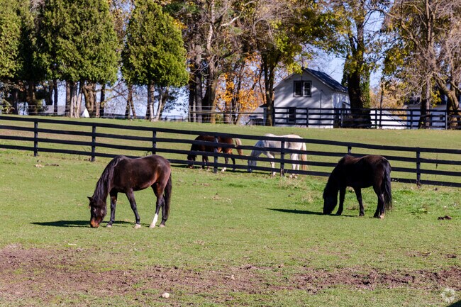 Hartland mainly consists of large farms with large properties, allowing for keeping horses.