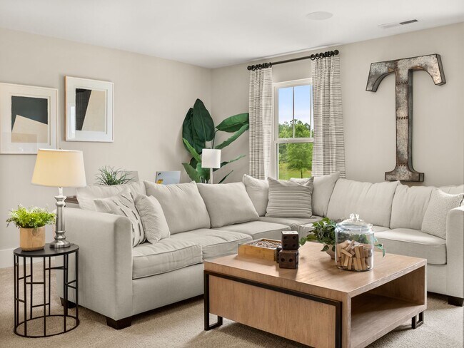 21216 Sanctuary Dr unit 36893187, Lancaster, SC 29720 - photo 7