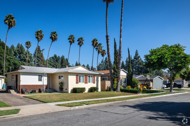 Palm trees rise over the Southeast Anaheim neighborhood.