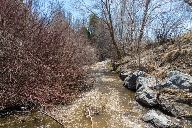 Dry Creek flows through the Alpine neighborhood.