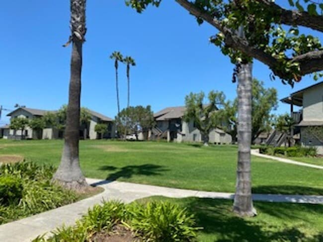 Cinnamon Woods Apartments, San Diego, CA 92154 - photo 5