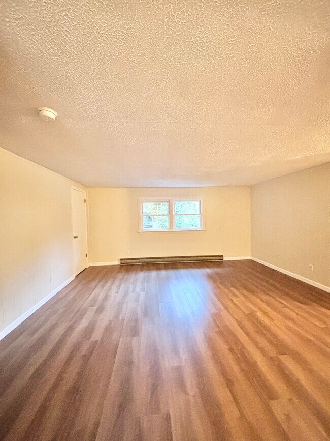 201 Lexington St unit 203, Damascus, VA 24236 - photo 6