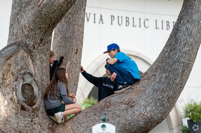 Kids enjoy Monrovia library and its trees.