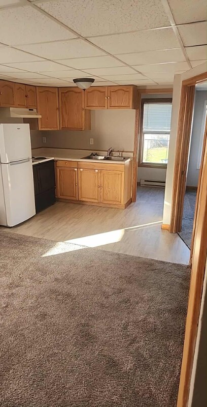 310 Main St Unit 5, Cornell, WI 54732