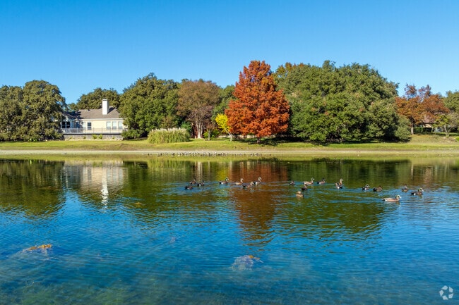 Onion Creek residents love the scenic views at Sullivan Park's peaceful pond.