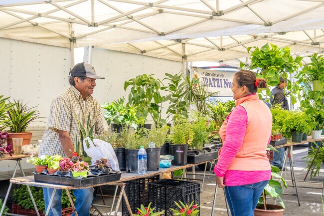 Locals grab their fresh produce weekly from the Downtown Oxnard Farmers Market at Plaza Park.
