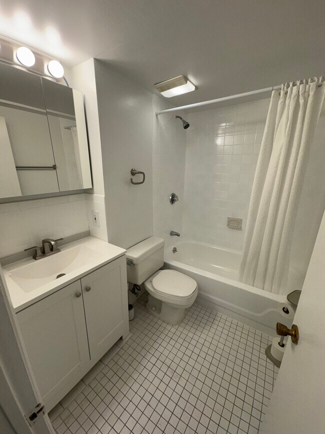 365 Faneuil St unit 2, Brighton, MA 02135 - photo 7