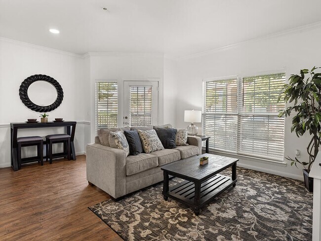 Natural Light Floods the Space