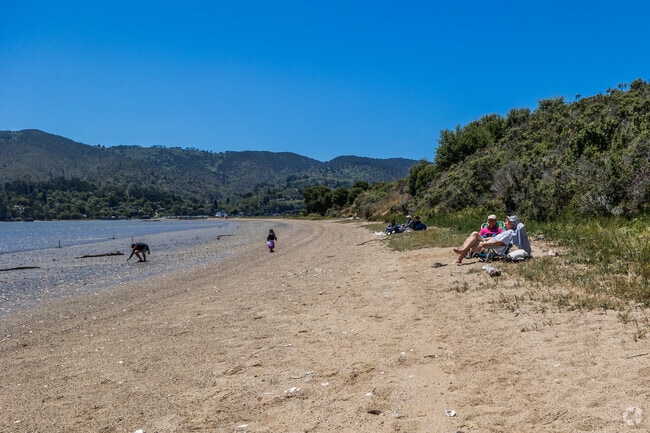 Millerton Park offers sunny beach days in Point Reyes.