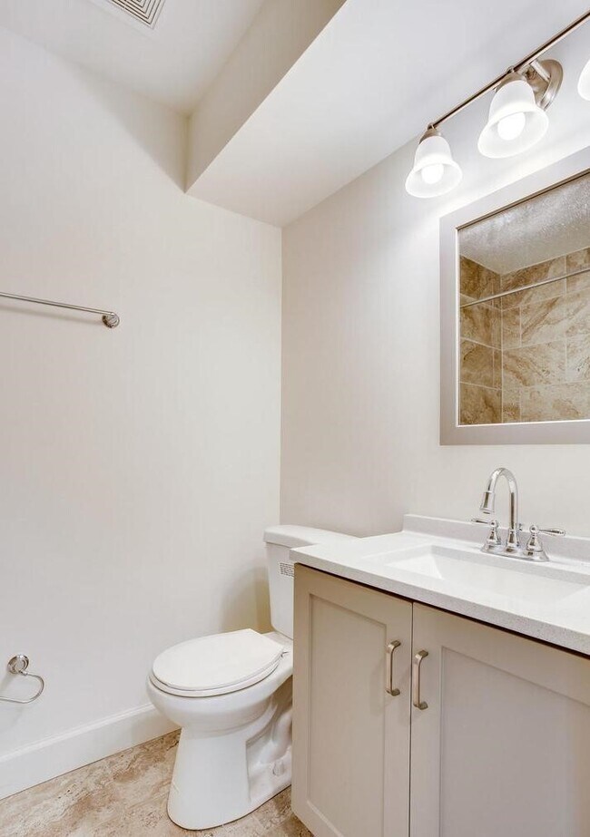 Lower Level Bathroom