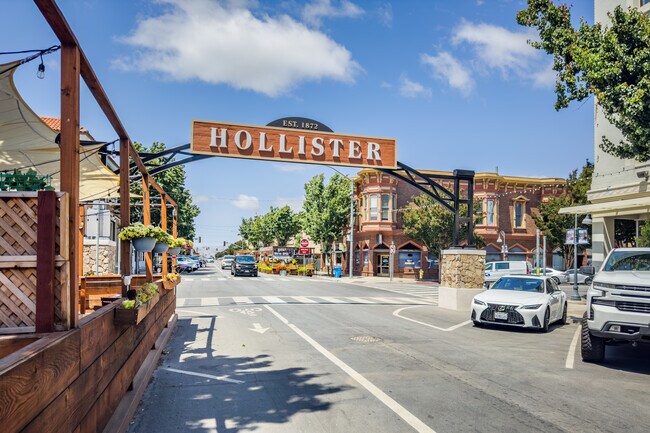 Hollister international drive best sale