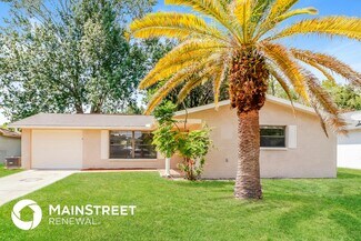 4248 Raccoon Loop, New Port Richey, FL 34653