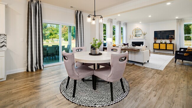 3044 Canvasback Way, Indian Trail, NC 28079 - photo 6