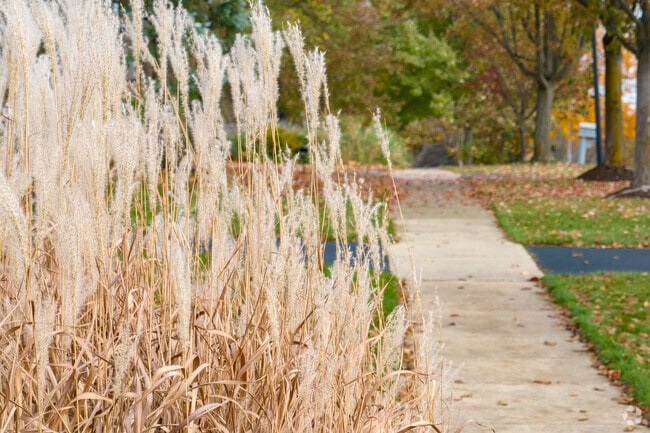 Morning light and leafy sidewalks define Southeast Batavia’s walkable neighborhoods.