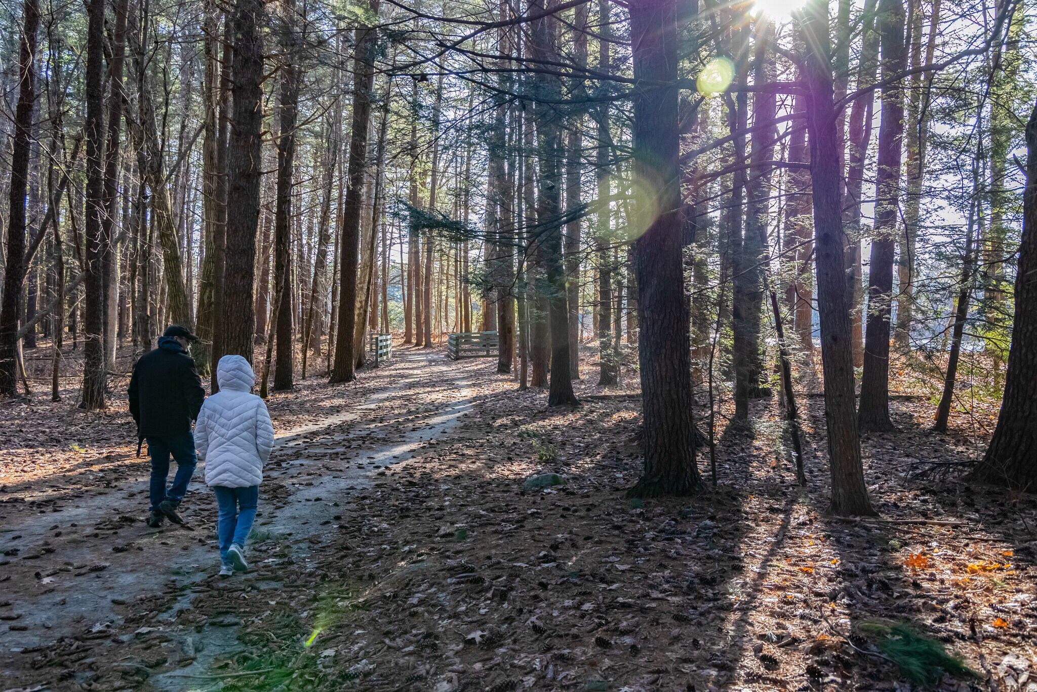 You can enjoy walking on the many trails at the Mine Falls Park in Mine Falls.