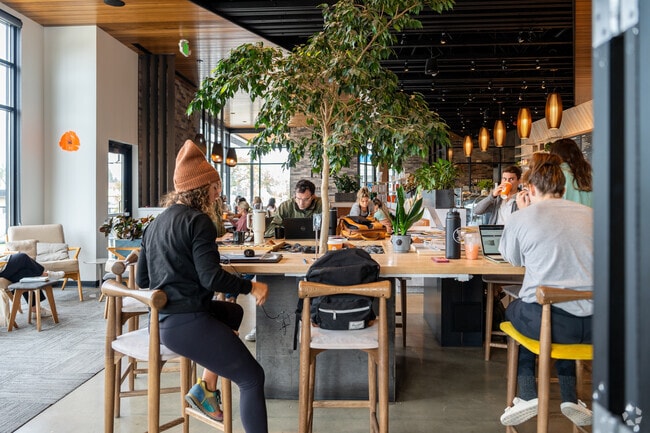 Residents come to Thomas Hammer coffee to work or study.