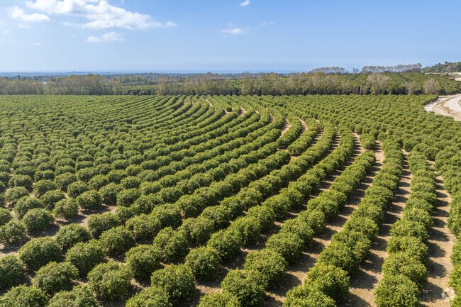 In the middle of West Saticoy you can find many orchards and orange groves.