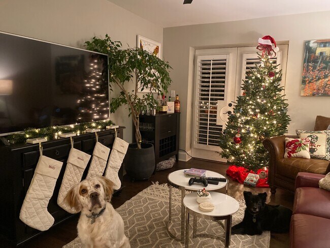 227 N Dotger Ave unit E14, Charlotte, NC 28207 - photo 5