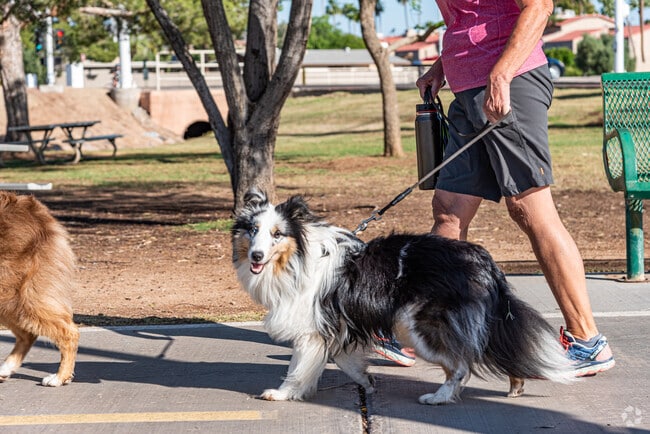 Along Chaparral Park, residents walk around with their canine companions near Indian Bend.