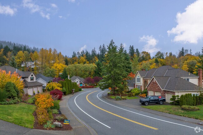 Rainier Crest streets often wind through tree-lined blocks for a classic suburban setting.