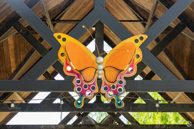 Monarch butterflies migrate to the area near the city of Hidalgo in the fall.