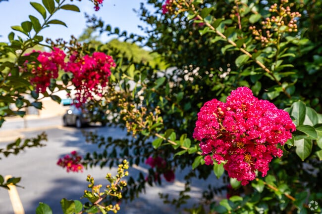 Get outside and enjoy the beauty of Cloverdale Watson.