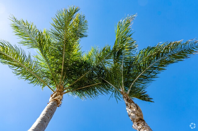 Downtown Madera offers a slower pace in the heart of California's Central Valley.