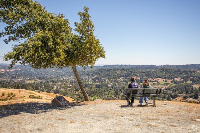 Above the homes of Central Orinda, residents can find amazing views of the golden rolling hills.