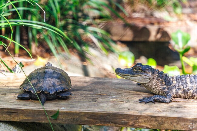 The Kreher Preserve & Nature Center is a great place to see real reptiles.