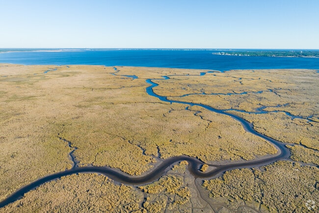 Rivers wind like veins through the marshes of Diamondhead, MS.