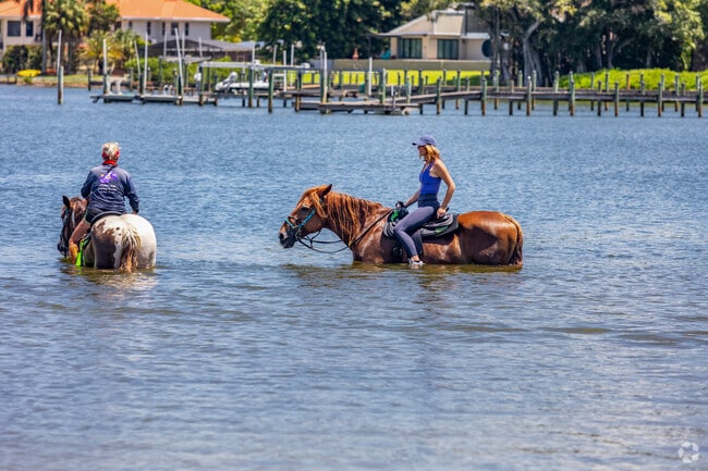 Take a horse ride through the water along the Palm Sola Causeway Park.