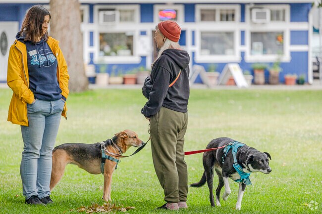 Bremerton Farmers Market is dog friendly. So Rocky Point residents can bring the pup.