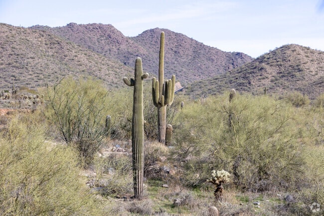 Spend some time with nature at Shea Corridor.