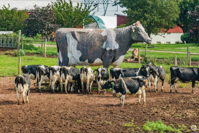 The Suydem family supplies local residents with fresh produce, milk and wool.