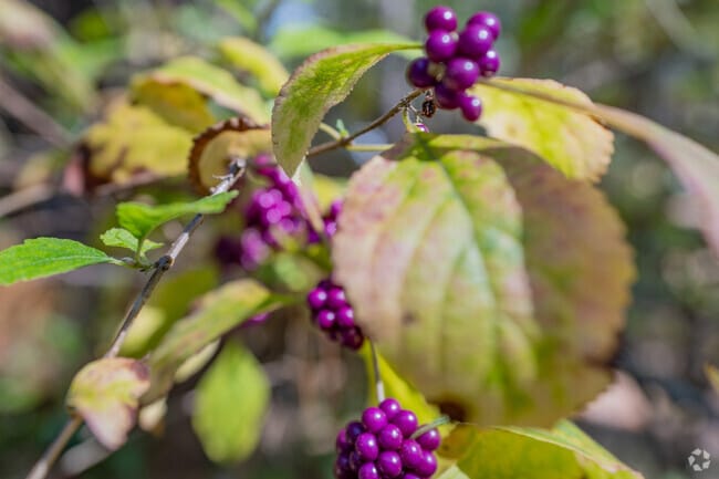 You’ll find stunning floral displays in the charming Duckpond area that you won't want to miss!