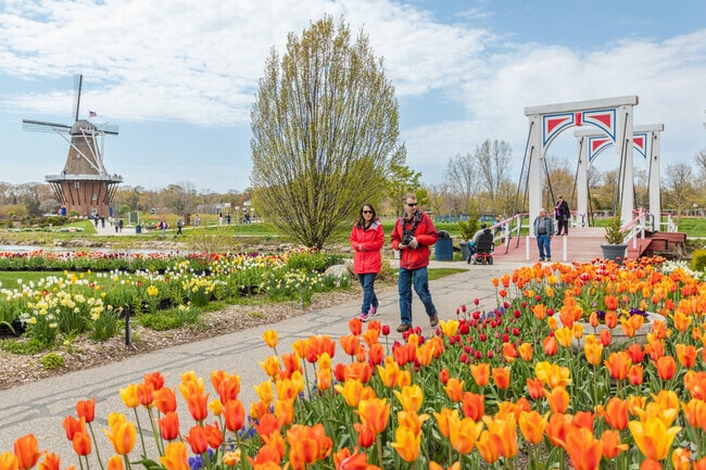 Windmill Island Gardens in Holland is filled with beautiful tulip fields.