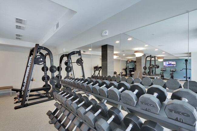 Ridian, Denver, CO 80211 - photo 7