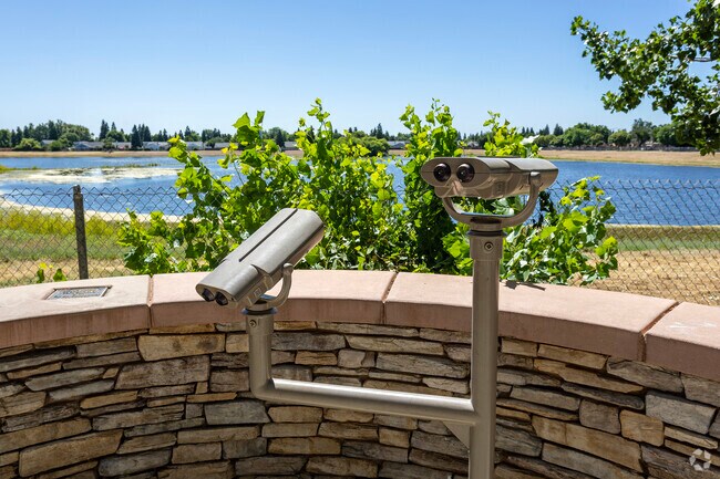 Watch migratory birds from Cottonwood Park in Clovis.