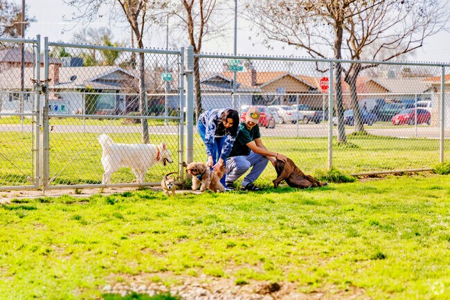 Spend time with your fury friends at the Ceres Dog Park in the City of Ceres.