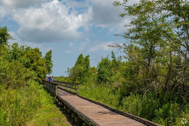 The 27,000-acre Bayou Sauvage often draws birders and paddlers.