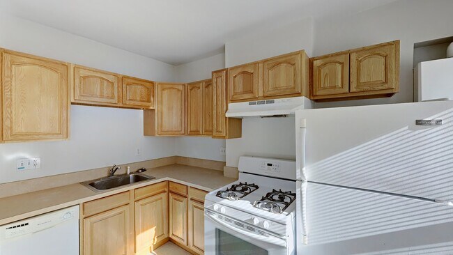 31 Wigglesworth St unit 1, Roxbury Crossing, MA 02120 - photo 7