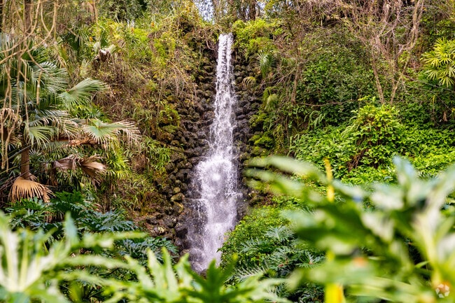 Follow the hiking trails to amazing waterfalls at Rainbow Springs State Park.