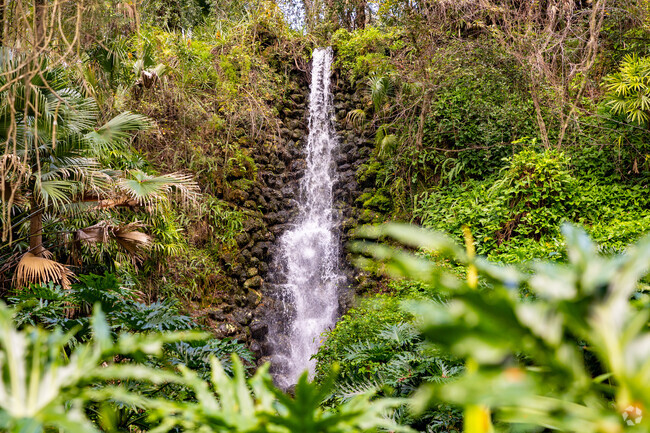 Follow the hiking trails to amazing waterfalls at Rainbow Springs State Park.