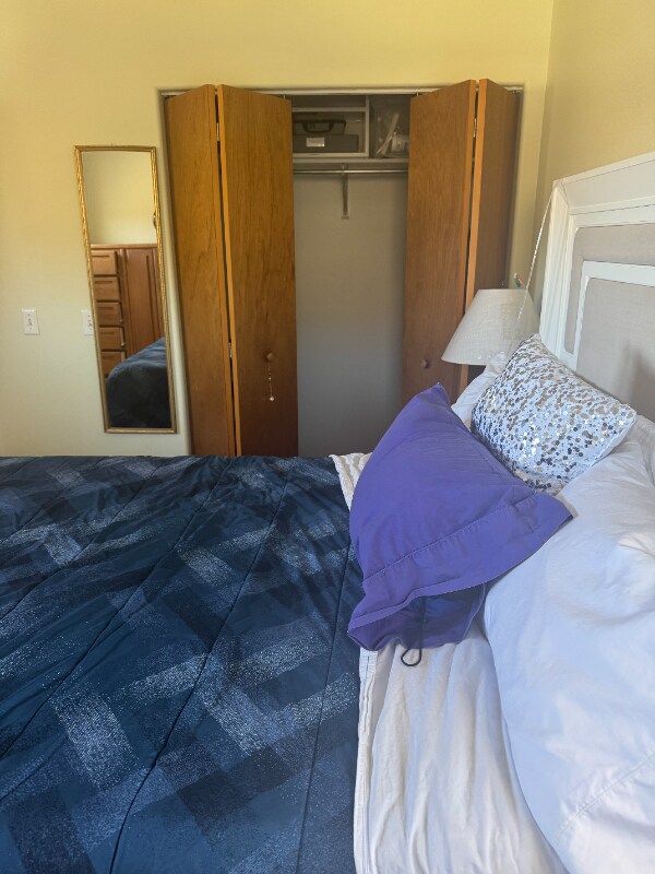 626 Pines Slope Rd, Idaho Springs, CO 80452 - photo 4