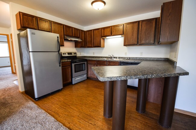 Cedar Meadow Apartments, Mankato, MN 56001 - photo 5