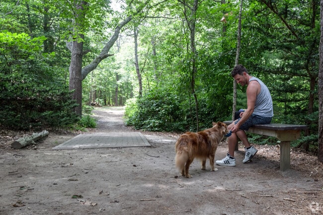 Dogs are great companions on the trails at Burgess Park in Marstons Mills .