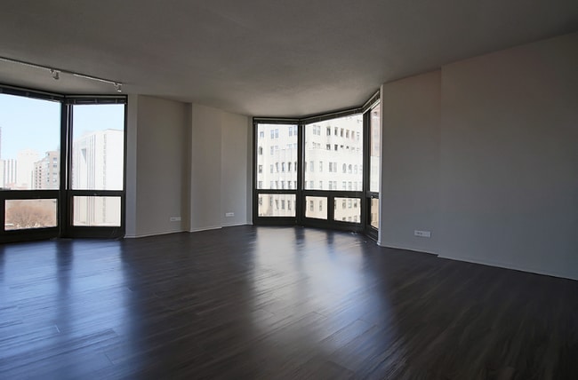 1135 N Dearborn St, Chicago, IL 60610 - photo 3