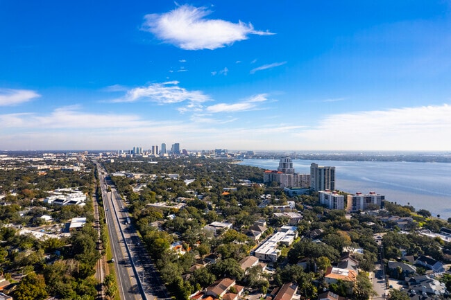 Aerial shot of the Palma Ceia neighborhood.