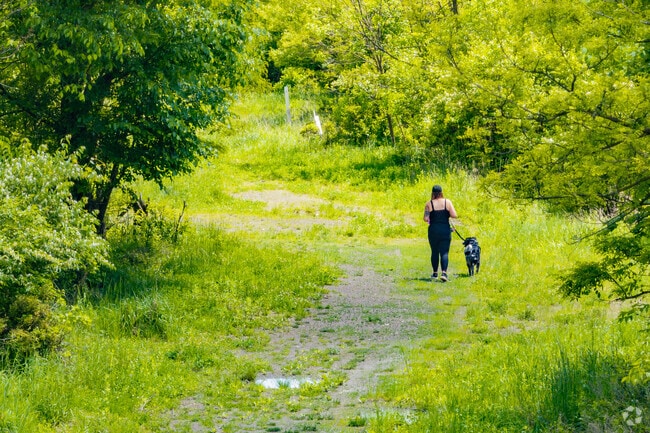 Residents walk their dogs at Girty's Woods in central Reserve Township.