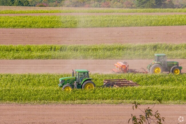 Local farmers reap a harvest in Valley View with top farming equipment and strategies.